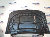 Hood Panel